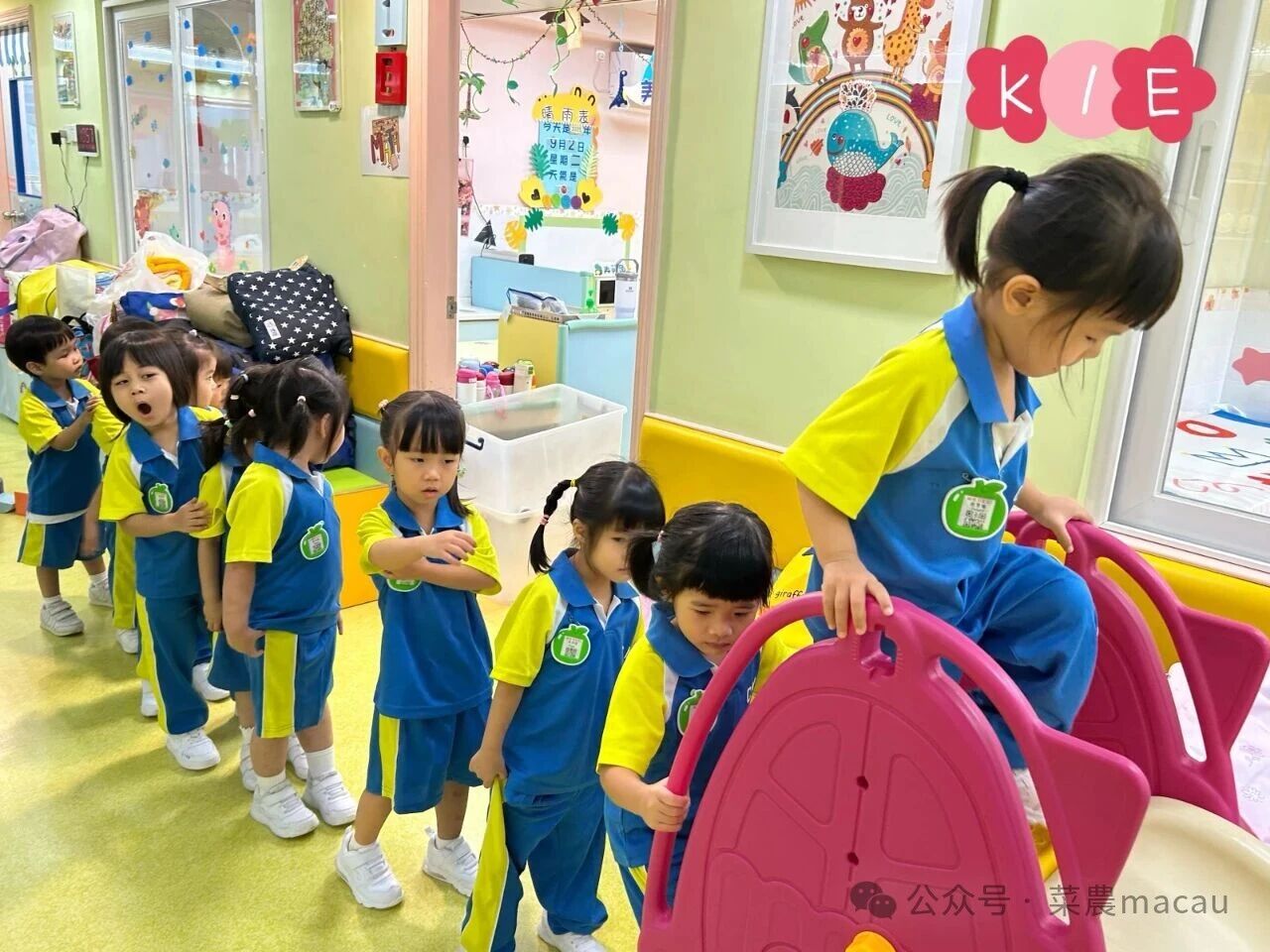 5be9885a-0709-4902-8769-a2081382b449